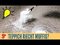 Genialer Trick: Teppich riecht muffig? Teppich einfach reinigen mit diesem Hausmittel