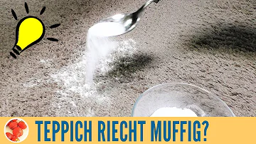 Warum riecht Teppich muffig?