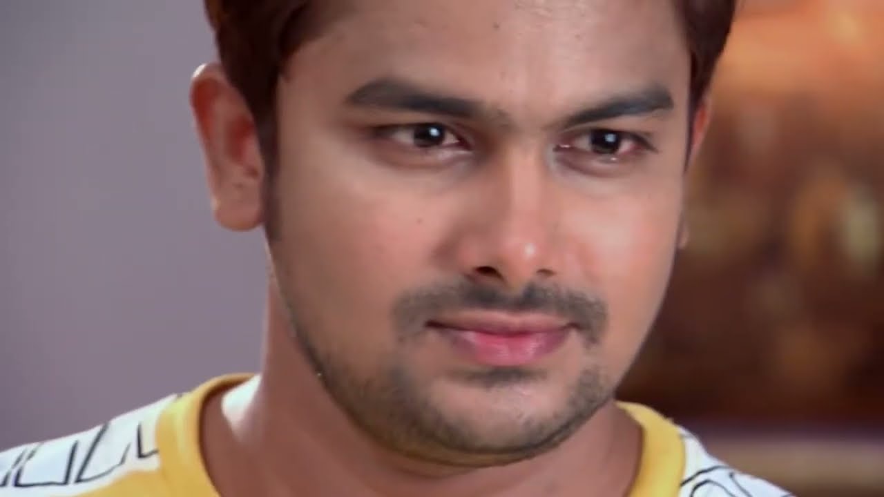 Kalyana Vaibhogam - Ep 290 - Meghana Lokesh - Telugu Tv Serial - Zee5 Telugu Classics