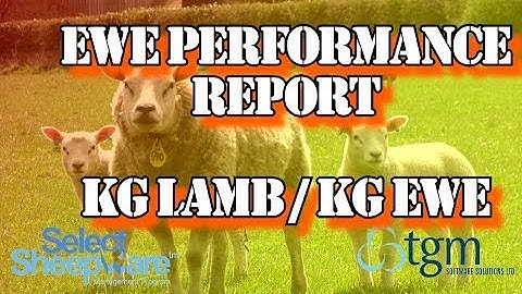 Ewe Performance Report (kgLamb per kgEwe) - Select Sheepware