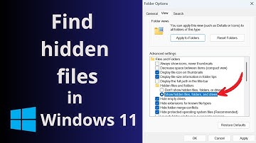 How to find hidden files in windows 11