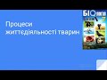 Процеси життєдіяльності тварин