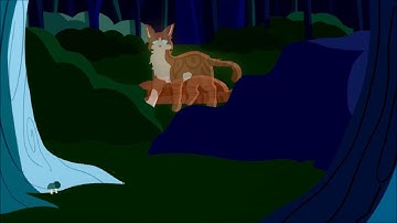 Hide and Seek MAP (part 14)