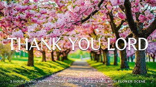 Thank You Lord : Instrumental Worship & Prayer Music with Flower Scene Divine Melodies
