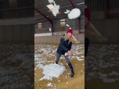 Video: Schneit es in Pferden?
