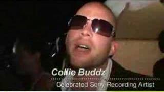 Collie Buddz, David Rodigan, Pee Wee