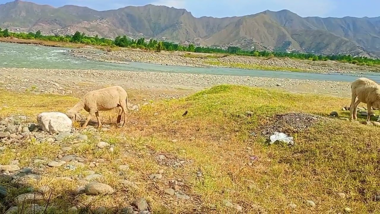 River swat Dagay | Dagay Swat | YouTube channel Intro