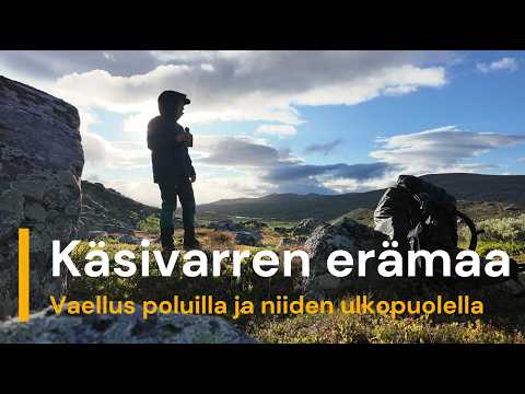 Mikä on Provider Network -turnaus?