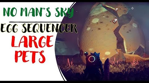 No Man Sky Egg Sequencer Large pets | I gave away the egg and something unexpected happens.