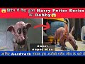😱ब्रिटेन में पैदा हुआ #harrypotter का #dobby😱 | #aardvark born in UK #shorts #chesterzoo #aardvark