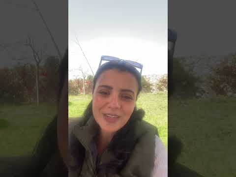 اريفين يالوم هبه العلاج النفسي المعالج ليس ساحر