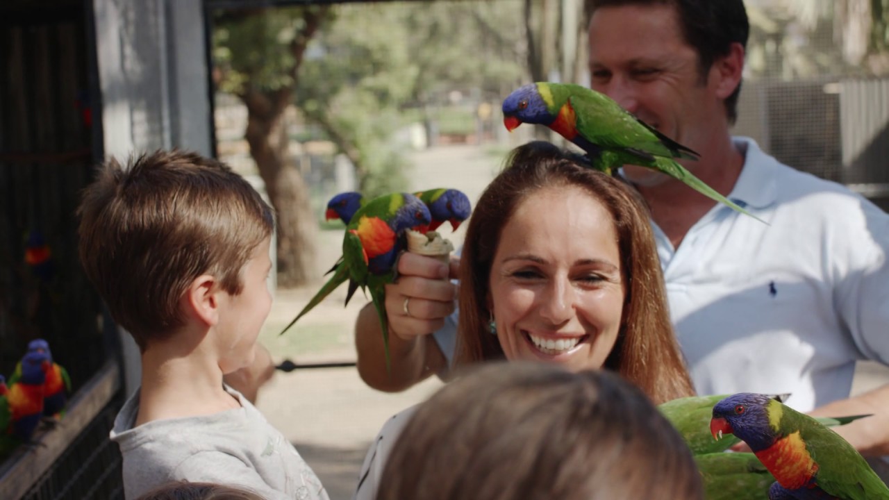 Let Them Experience The Delights of The Hunter Valley