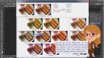 Image Adjustment;  Variations Tool- Adobe Photoshop