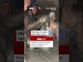 New video by BBC News on YouTube
