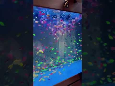 يلا تحديات ابراج اقوي مبدعي فاملي يدوي الابراج كوي الصور تحميل موسيقى