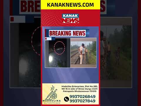 ଗାଁ ରାସ୍ତାରେ ବଡ଼ କୁମ୍ଭୀର! Crocodile Spotted on Village Road | Panic in Redhakhol, Odisha