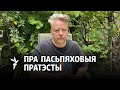 «Супрацьстаяньне бязь лідэра ў рэжыме арганізаванага хаосу»