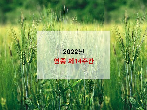 영상썸네일