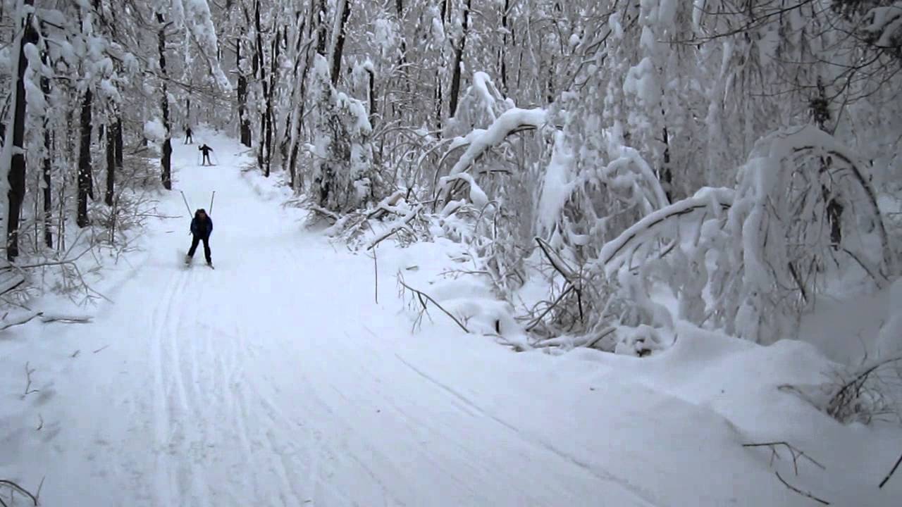 CrossCountry Skiing in Gatineau Park YouTube