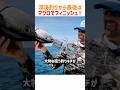 【わらしべ長者釣り】小キハダ→巨大イカ→カジキ…最後は100kgマグロで終幕！　#釣り #マグロ #イカ #大物釣り #閲覧注意 #深海釣り