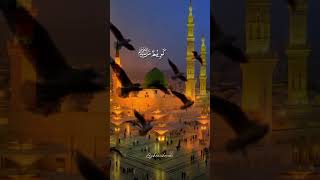 salamun alaika#shortsfeed #arabicdua #arabicnaats #shortsfeed #shortsviral#imamnaqi#imamrza