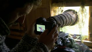 BIRD PHOTOGRAPHY with Nikon Z6 | camera settings, camouflage, permanent photo blind and coffee..