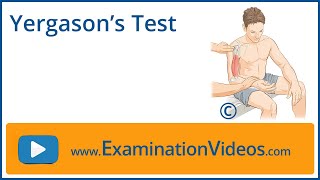 Yergason's Test