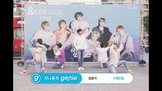 [신촌버스킹 직캠] 스펙트럼 - 불붙여