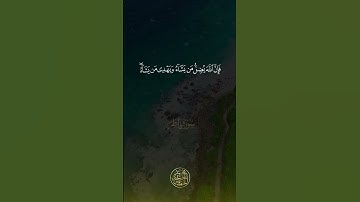 🌿 الَّذِينَ كَفَرُوا لَهُمْ عَذَابٌ شَدِيدٌ ۖ  |  القارئ محمد حمدي الحفناوي 🌿  #راحة_نفسية #المصحف