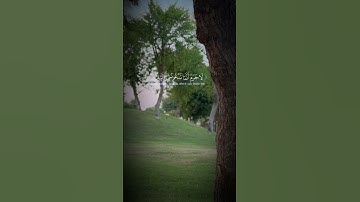 #اكسبلور #المصحف #دويتو #الرحمن #لايك #القزابري #العظماء #تصويري #الظروف تلاوه جميله