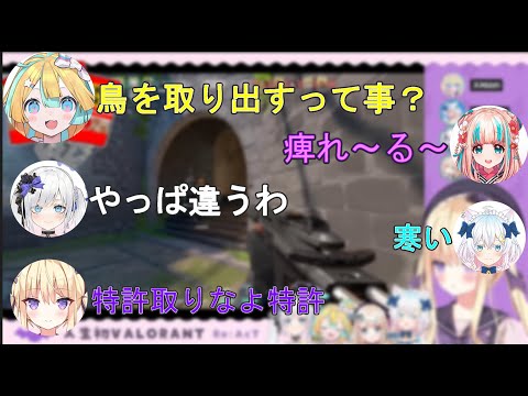 【切り抜き】初めてのヴァロで面白い場面連発！？【月紫アリア/天川はの/夢川かなう/猫乃ユキノ/白音ゆき/リアクト/Vtuber/VALORANT】