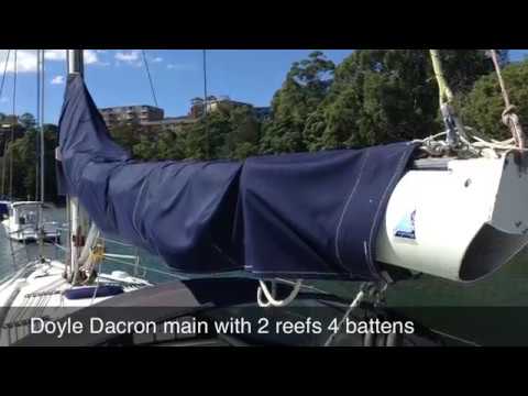 ⁣Kahoona Cavalier 395