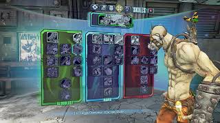 Borderlands 2 Best Psycho (Krieg) Level 30 Build