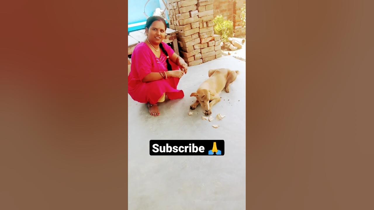 5-lakh-to-milega-na-viral-funnyvideo-shortvideo-shortsyoutube