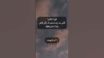 سورة فصلت الآية ٣٧ الى ٣٩ بصوت الشيخ محمد صديق المنشاوي