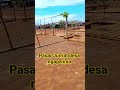 pasar Jum'at desa ngapa inia #pasr #desa #abiazalia