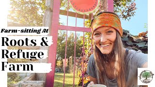 Farm-sitting at ROOTS & REFUGE |VLOG