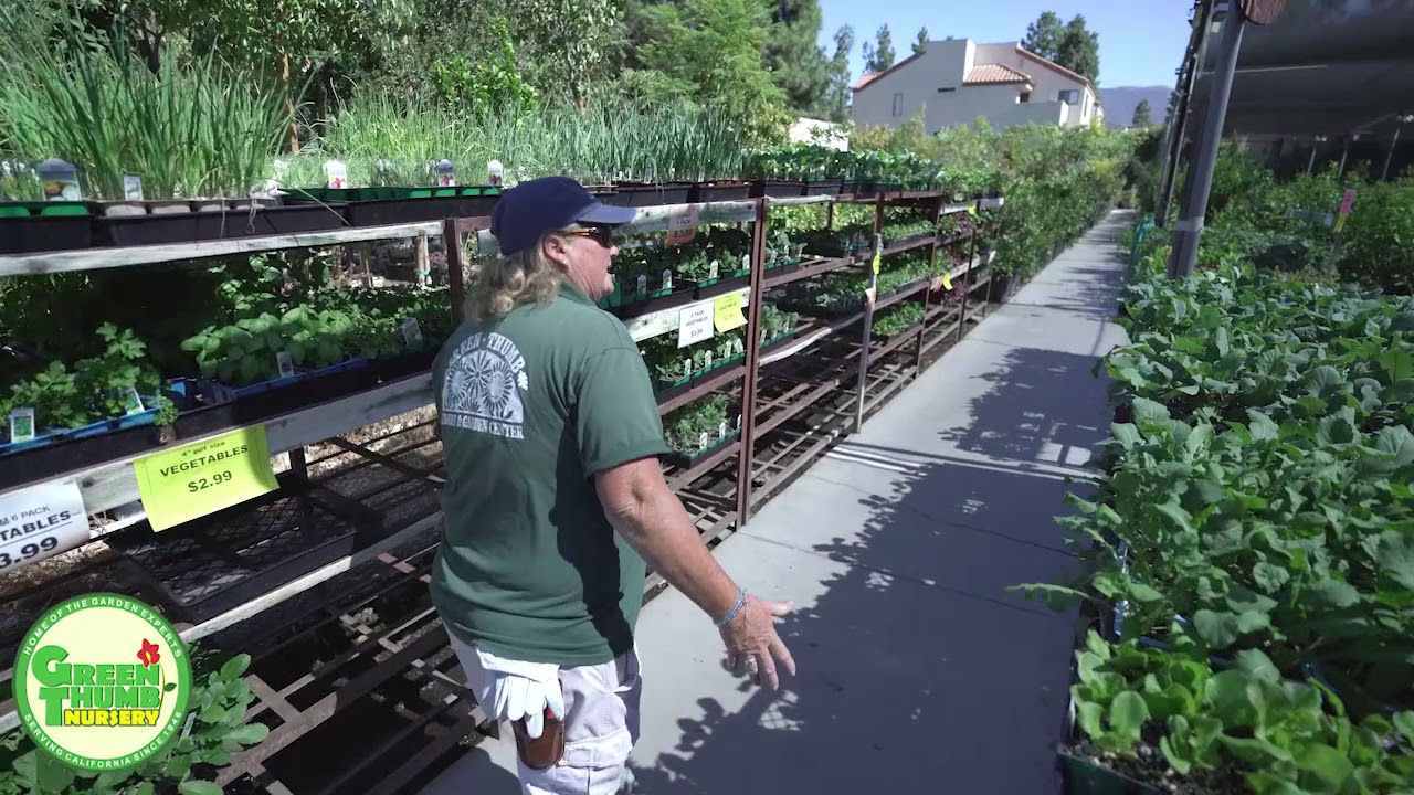 Green Thumb Nursery Santa Clarita Garden Center Tour with Jane The