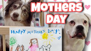 The Dogs Make a Mothers Day Card! (If that’s what you wanna call it 🤣)