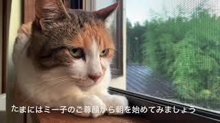盆が近いと私の心がキレイになる為ほのぼのした動画になりました