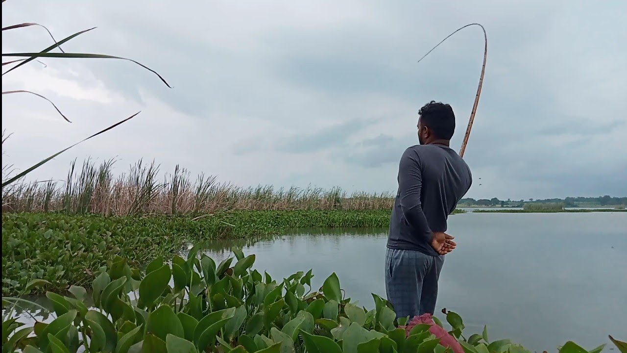 Amazing!! Best hook fishing 🎣 in Sri Lanka 🇱🇰 YouTube