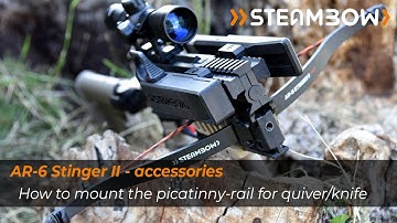 Steambow’s own Stinger II Tactical, Part 1: side rail accessories