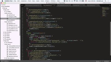 Ruby on Rails Tutorial 34 Org Companies JS, Model Attributes, and Dropdowns