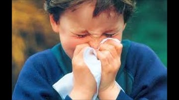 Short Story: Ernest Hemingway - a day