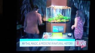 New York Live with Sarah Gore