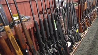 Proposed constitutional amendment to ban assault weapons in Florida under fire