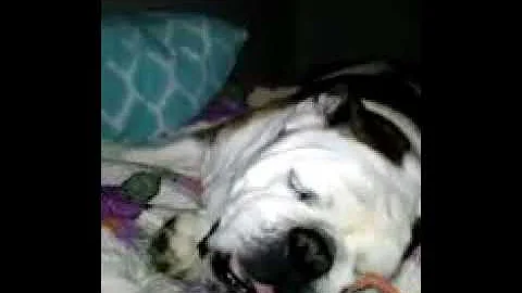 My boy