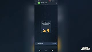 Ultimate Telegram Bot Tutorial: Encrypt All Files Automatically (Privacy Hack 2026) screenshot 5