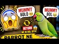 “Talking Parrot ka funny reply 😂🦜”“Mera parrot mujhe hi command de raha 😂”