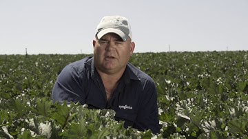 Spray Technology for vegetable growers: A guide to getting it right